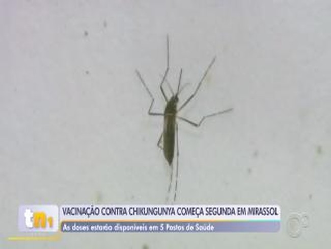 Motorista de aplicativo é esfaqueado durante corrida e adolescentes são apreendidos no interior de SP