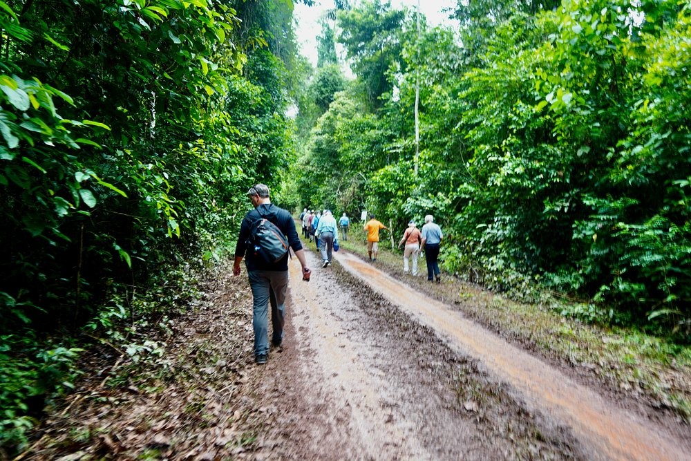 Trilha segura: veja o que levar e quais cuidados tomar antes de se aventurar na natureza