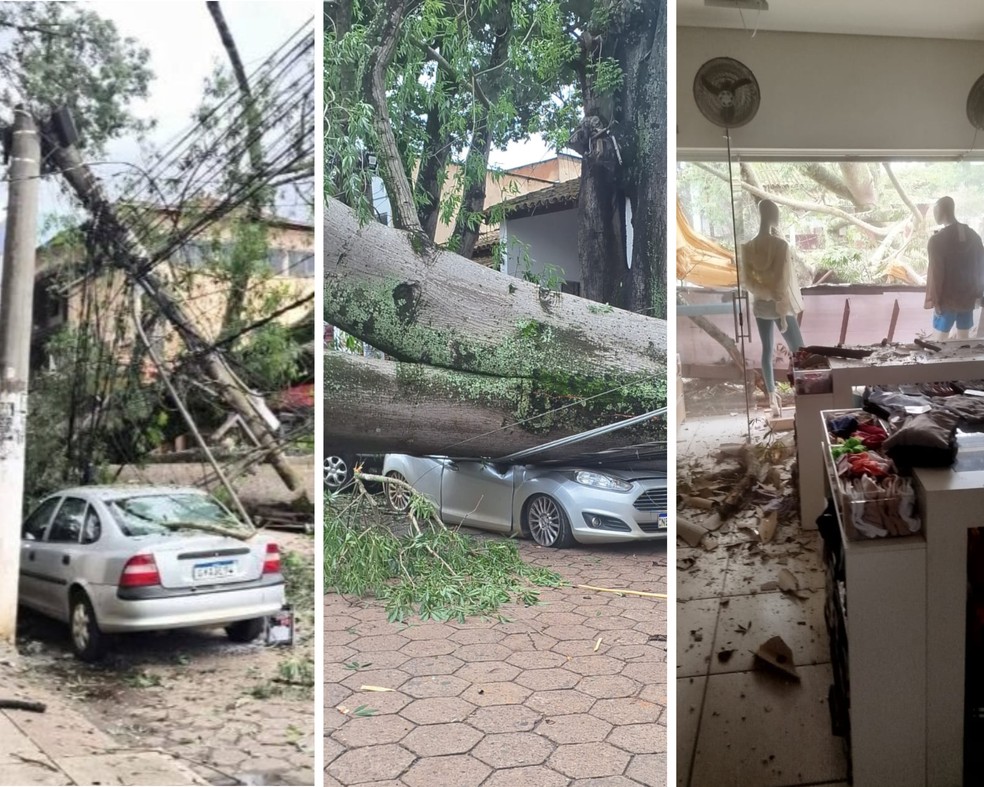 Árvore cai e destrói carros no Centro de Santa Bárbara