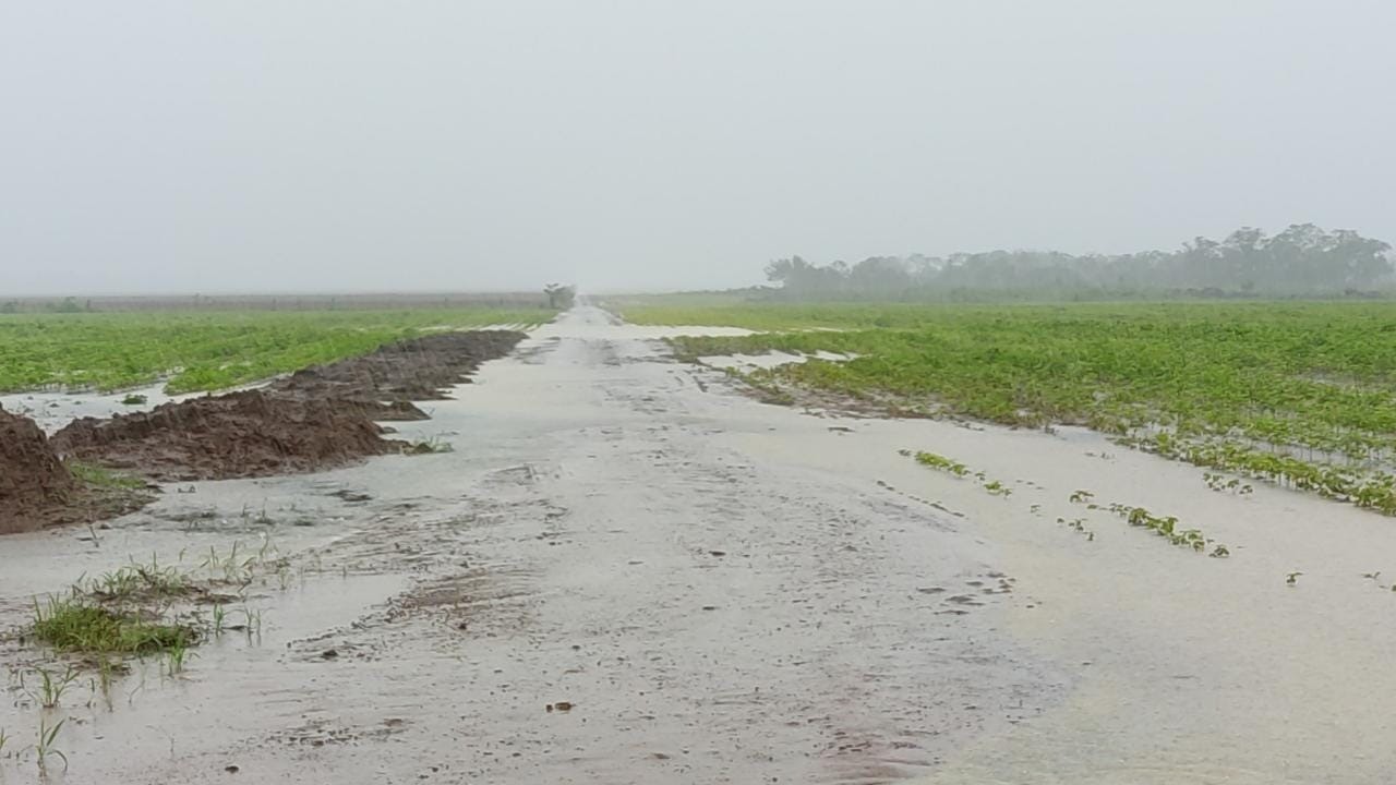 Quando o clima muda no campo, o reflexo chega à mesa dos tocantinenses