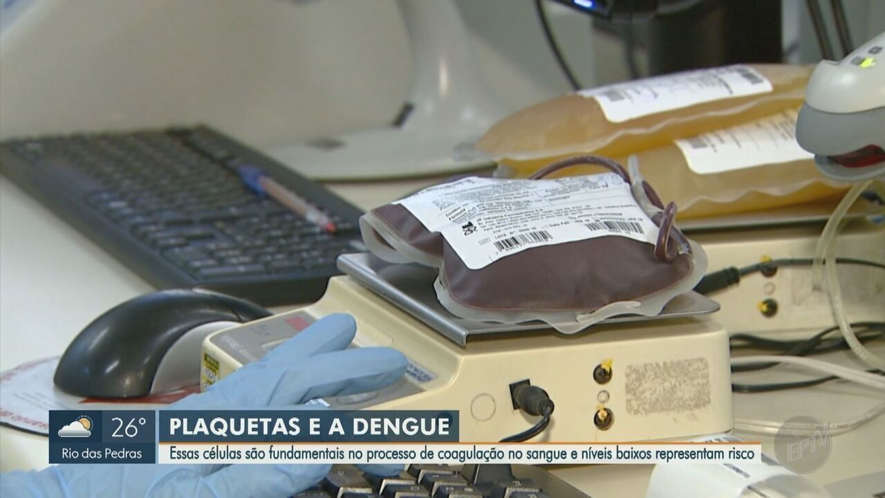 Contagem De Plaquetas Humanas O Sangue é Essencial Para A Vida, Mas