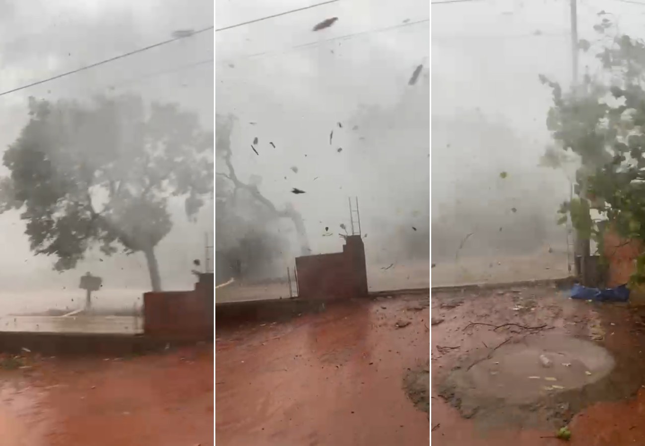 'Meu Deus do céu' — Vídeo mostra ventania derrubando árvores; moradora se assusta