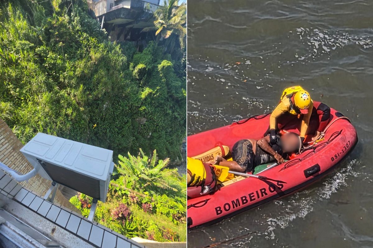 Busca por garrafa com bebida fez homem ser alvo de abelhas e se jogar de precipício; veja novas imagens