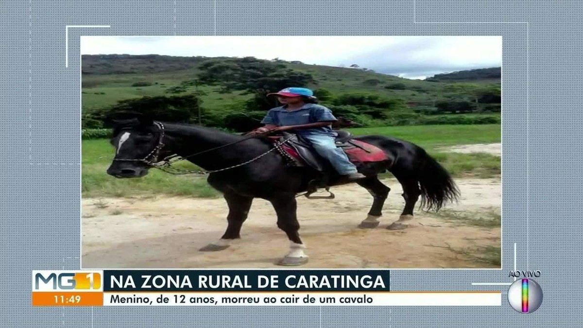 Cavalo morre após receber quase 50 chicotadas e golpes de pá do dono