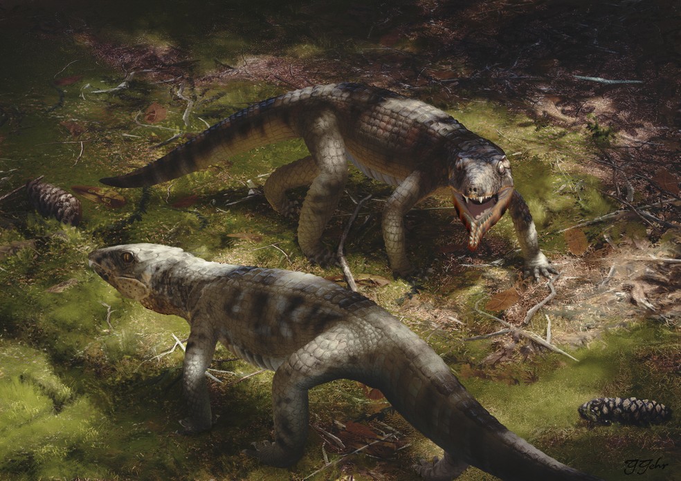 Espécie inédita de crocodilo Caipirasuchus que viveu há 85 milhões de anos é descoberta por pesquisadores em Catanduva (SP) — Foto: Guilherme Gehr/Divulgação