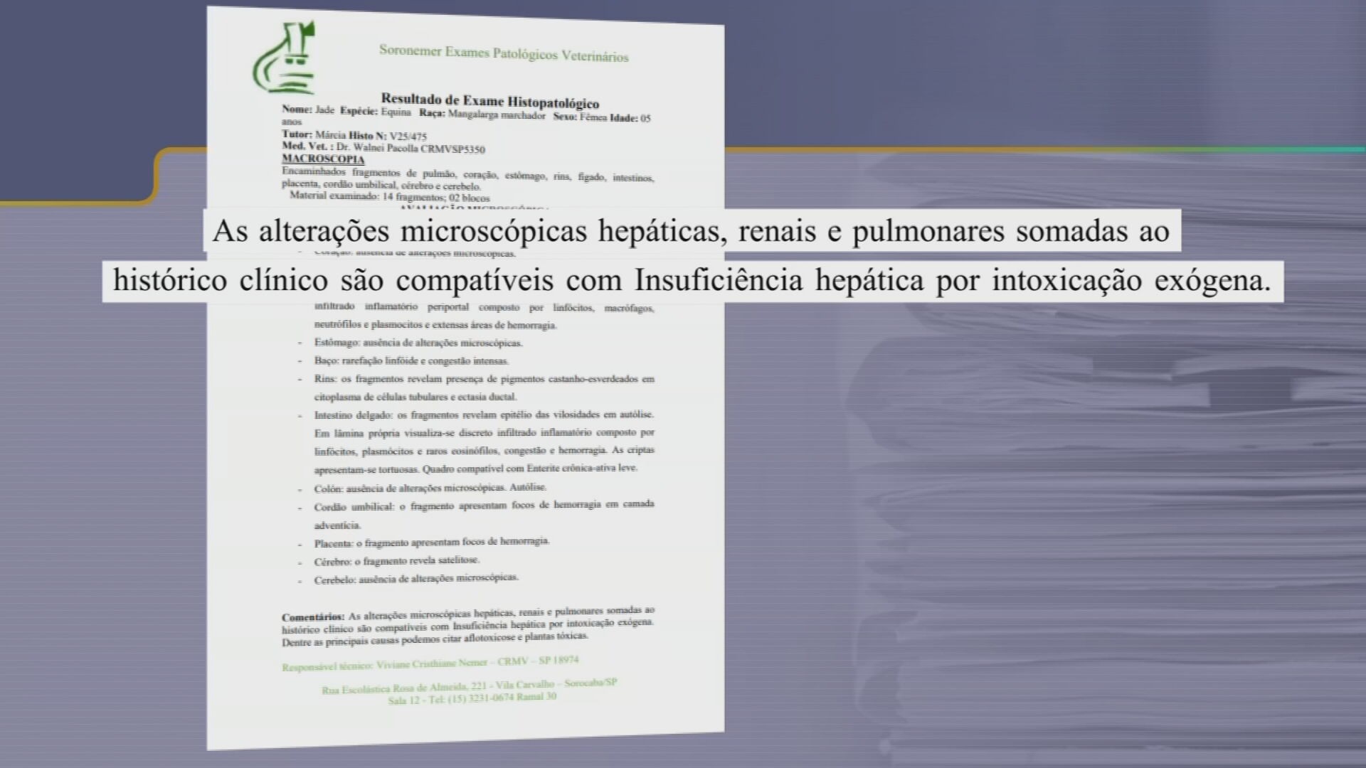 Ministério da Agricultura investiga morte de 34 cavalos após consumo de ração contaminada em Jarinu