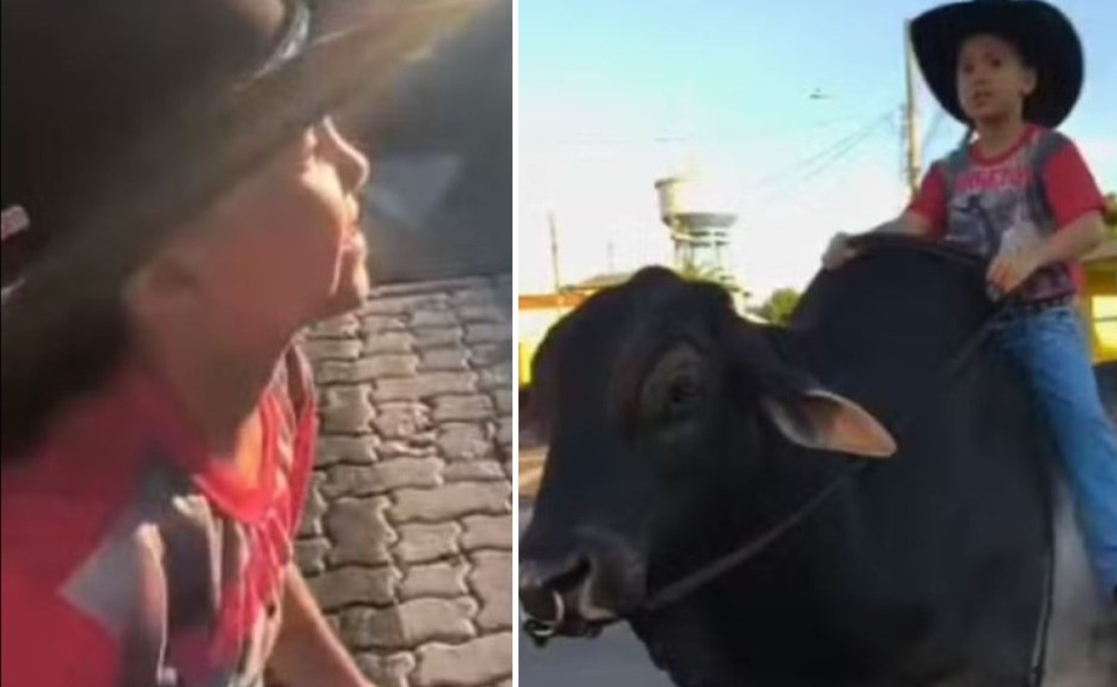 VÍDEO: 'Mini-boiadeira' é buscada na escola por touro de estimação e realiza sonho