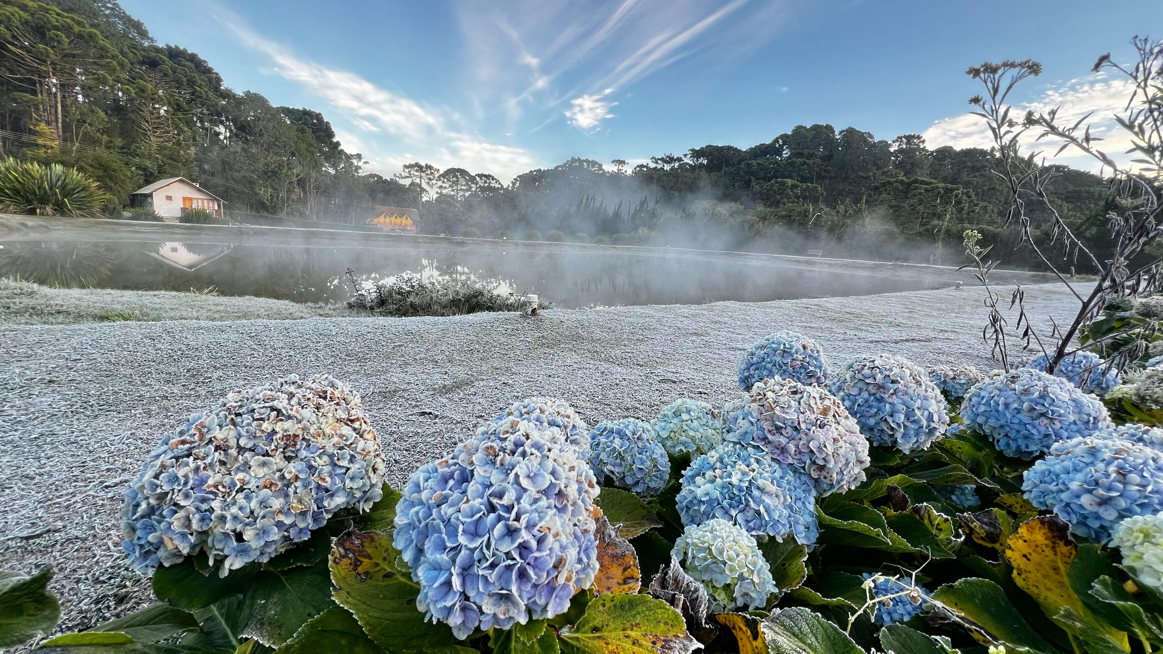 Onda de frio: Sul de Minas registra sensação térmica abaixo de 0ºC; veja previsão para o fim de semana