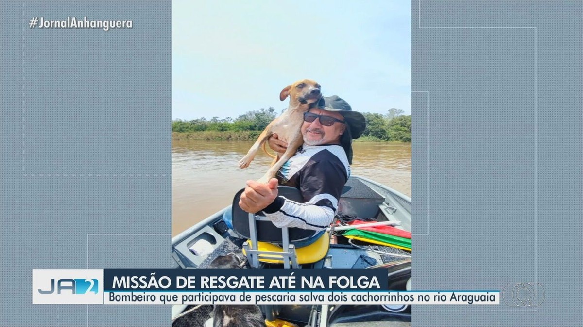 Pet influencer', cachorro goiano viraliza na web com vídeos engraçados, Goiás