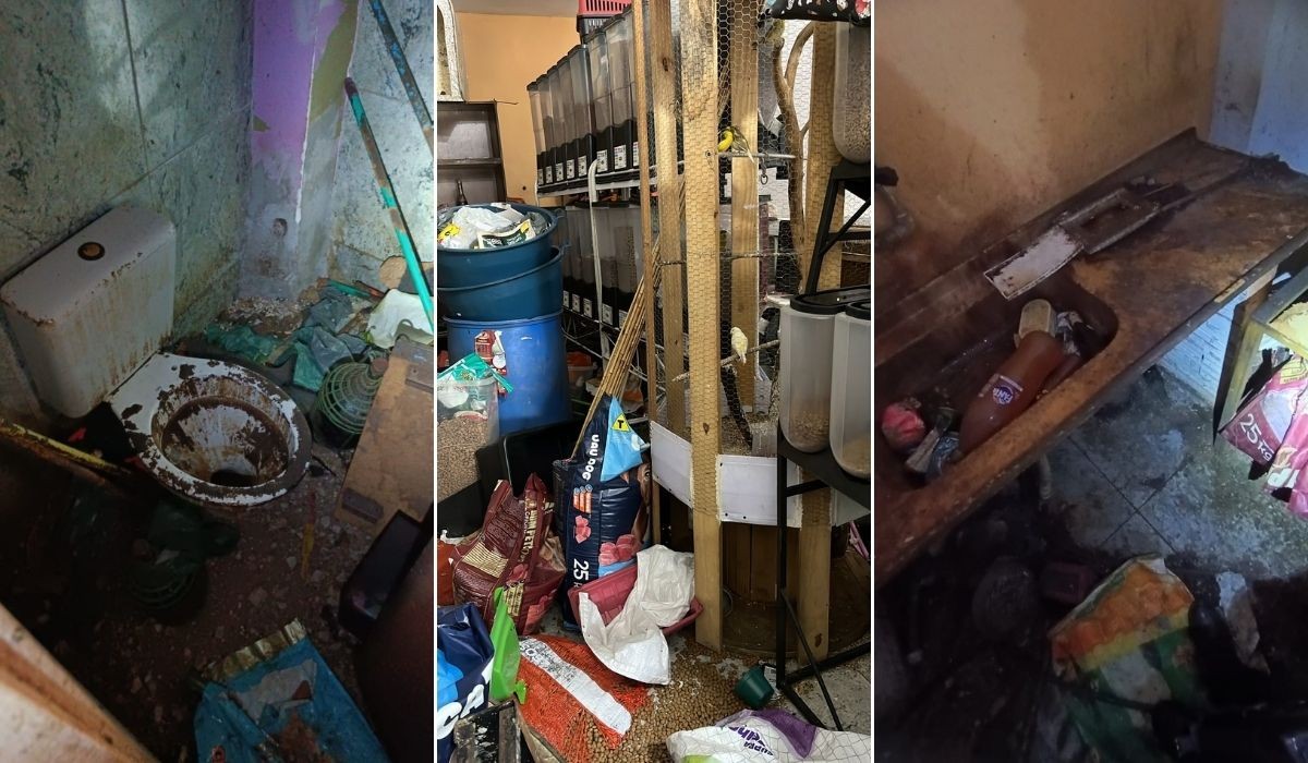 Aves são apreendidas e dono de agropecuária é multado em R$ 85 mil por maus-tratos em Sumaré