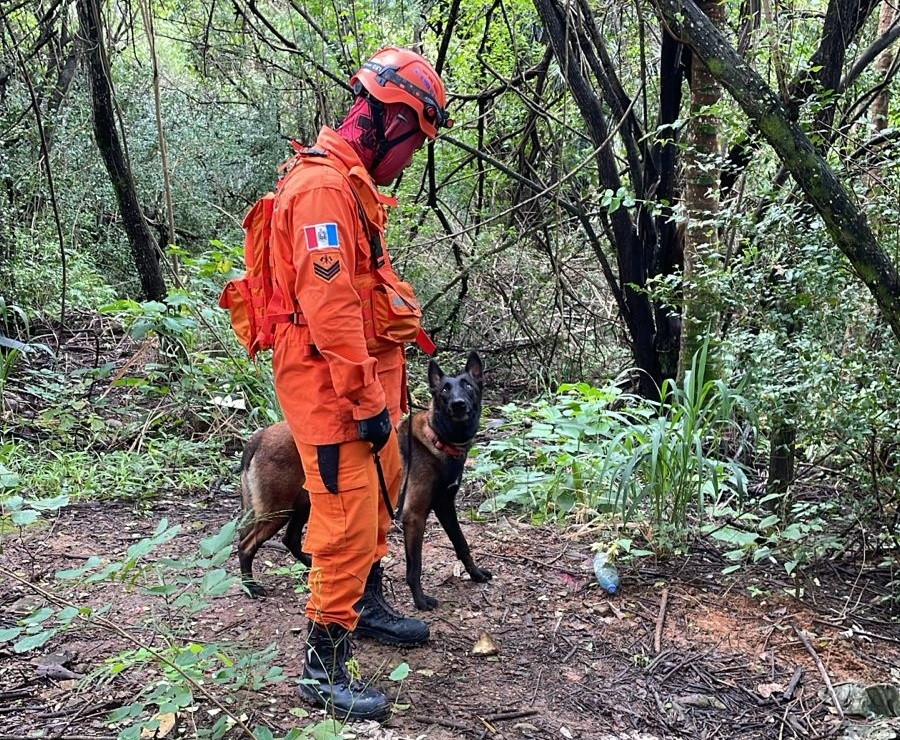  Bombeiros fazem buscas por mulher que desapareceu em Maceió após marcar encontro 