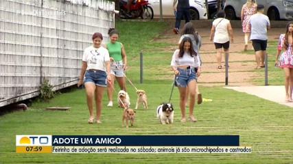 Feira de adoção de animais castrados e microchipados será realizada em Palmas