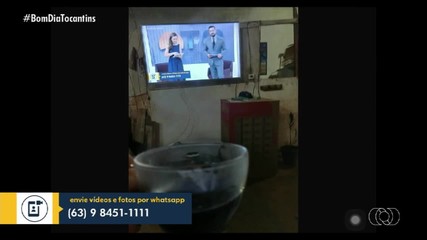 Confira os registros enviados por telespectadores no BDT