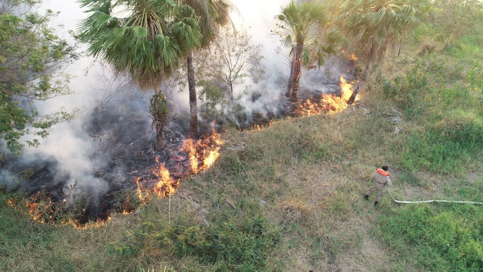 Queimada em Corumbá, município no Pantanal sul-mato-grossense  — Foto: Corpo de Bombeiros/Divulgação