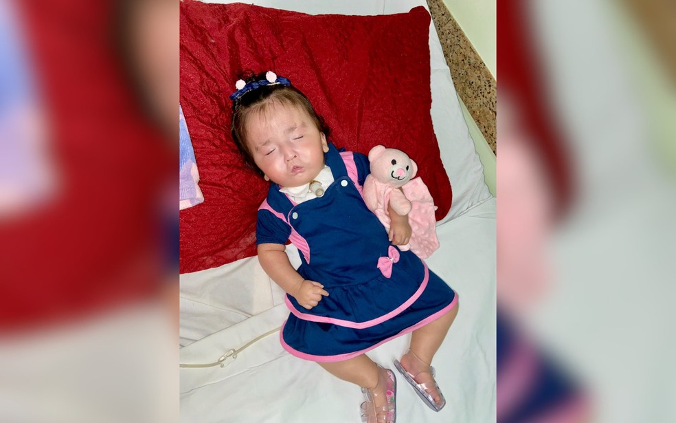 Bebê que, segundo médicos, teria 48h de vida, recebe alta após 7 meses internada em hospital de Araçatuba (SP) — Foto: Tais Barcelar/Arquivo Pessoal