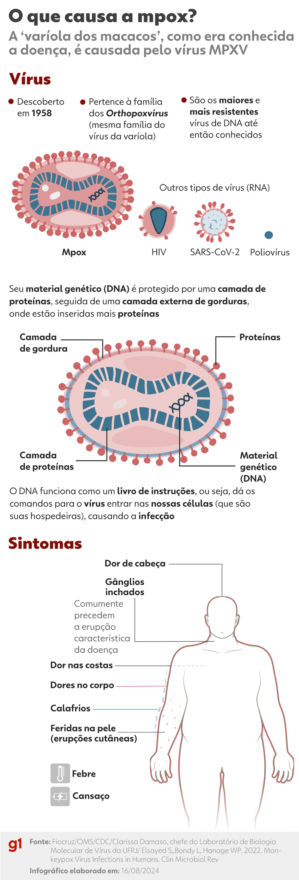 Conhea o vrus da mpox e os principais sintomas da doena.  Foto: Ana Moscatelli/Arte g1