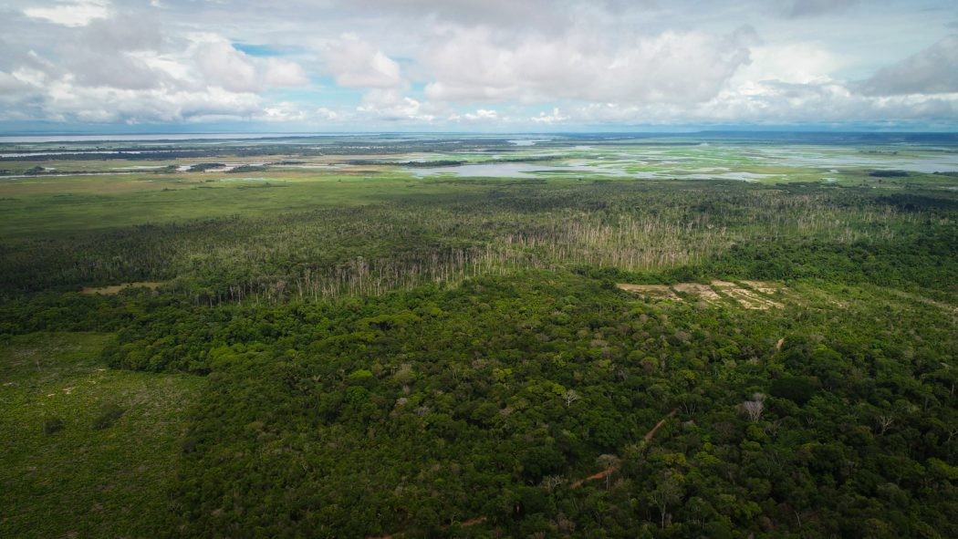 Agrotóxicos no Planalto Santareno: TRF1 mantém ação do MPF na Justiça Federal