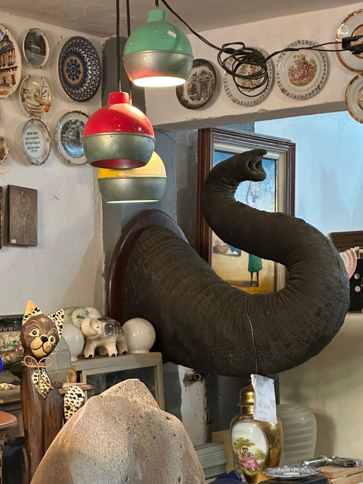 Tromba de elefante asiático é apreendida em antiquário no Centro do Rio