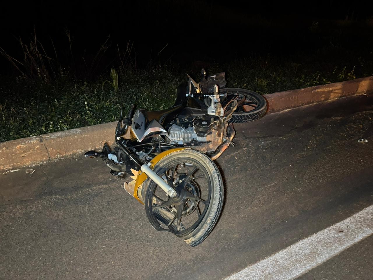 Motociclista morre e passageira fica ferida após moto bater contra vacas em rodovia de MT