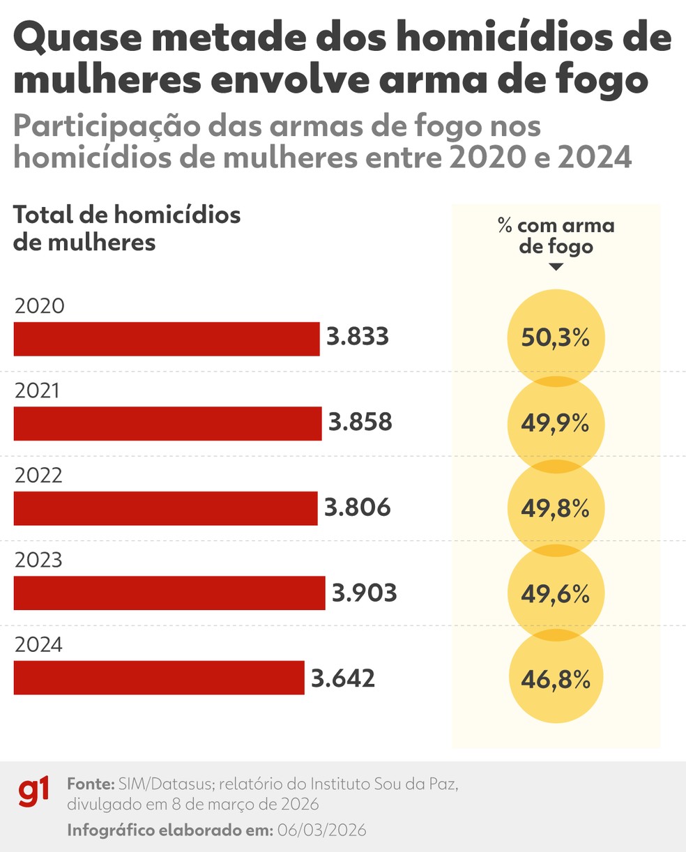 INFOGRÁFICO - Homicídios de mulheres no Brasil — Foto: Arte/g1