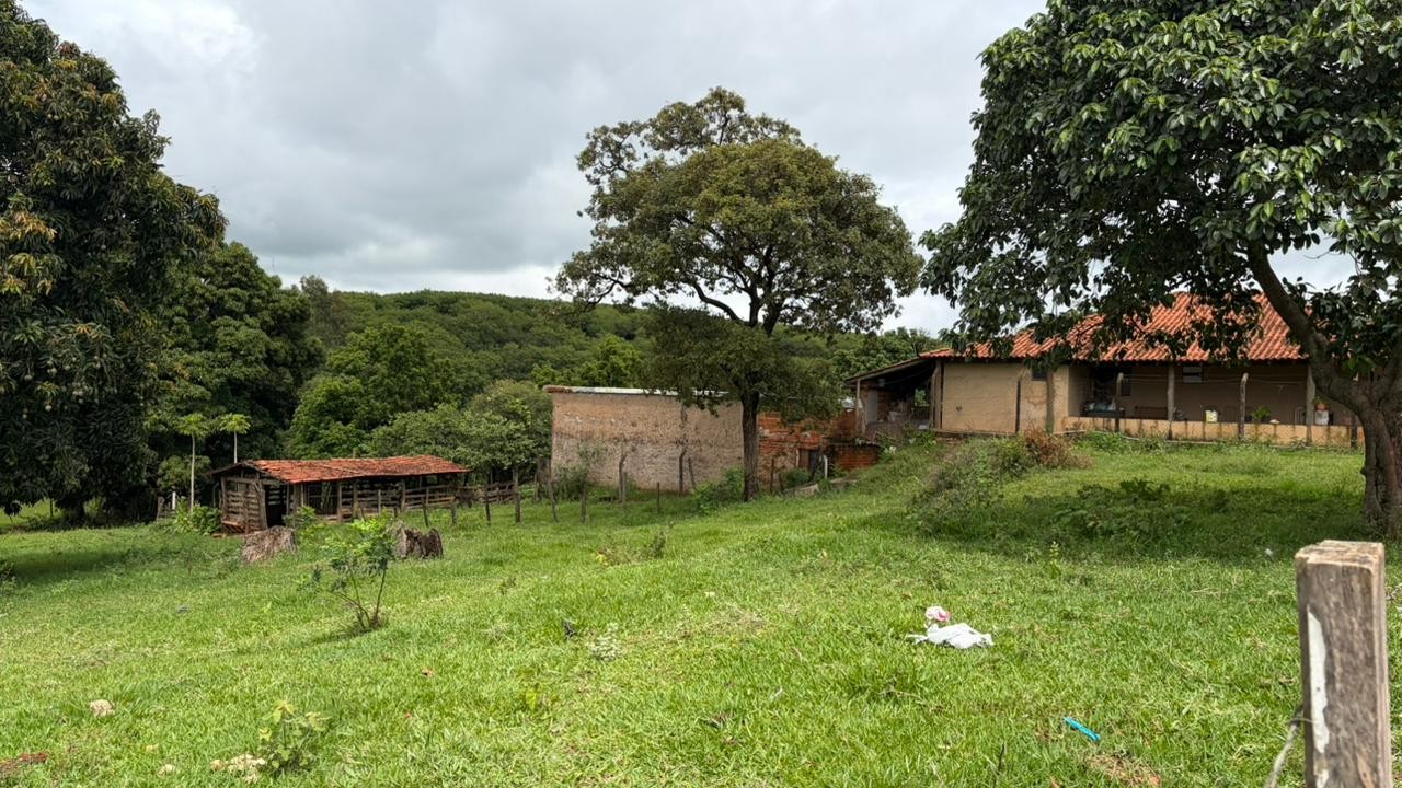 Idoso que morreu ao ser arrastado por enxurrada e cair em córrego saiu de casa para salvar animais em Bauru