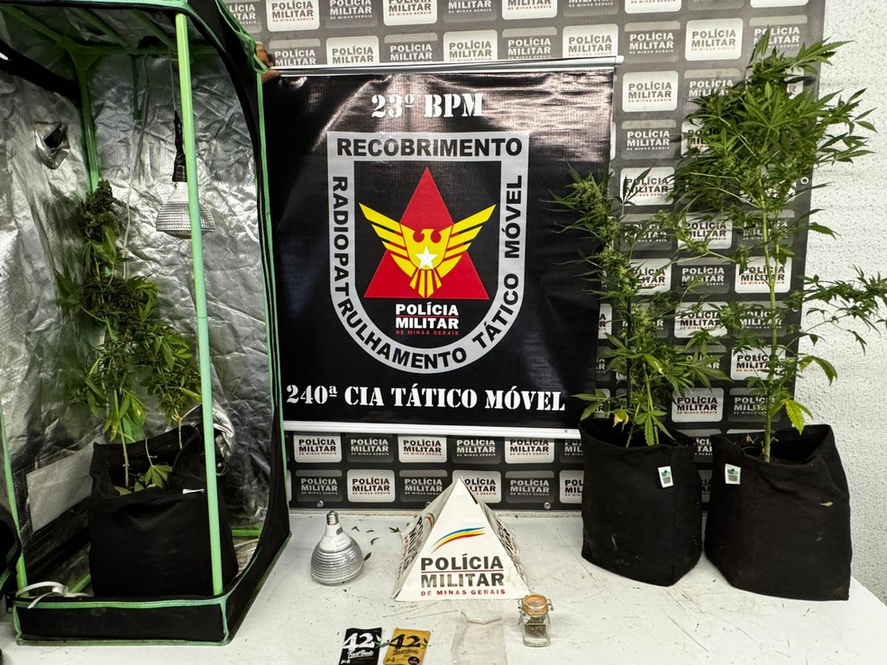Maconha foi encontrada na cobertura de um prédio no Centro de Divinópolis — Foto: PM/Divulgação