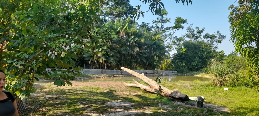 Menina estava brincando com a irmã de 4 anos — Foto: Reprodução