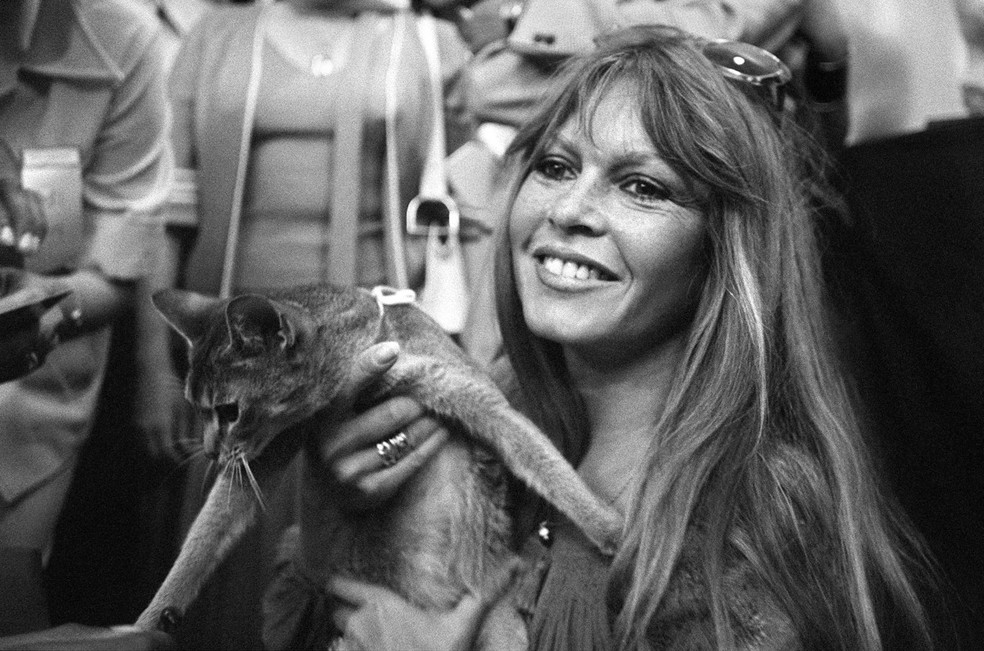 Brigitte Bardot participa da exposição internacional de felinos em Saint-Tropez, no sul da França, em 4 de junho de 1977 — Foto: AFP