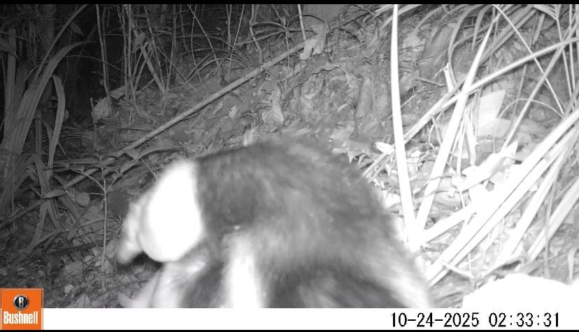 Você Não Tá Convidada pro Meu Bat Mitzvá!