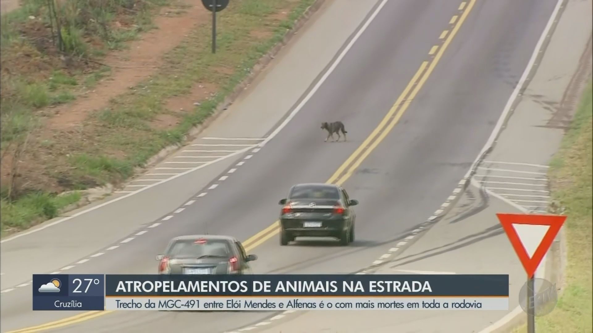 VÍDEOS: EPTV 1 Sul de Minas de segunda-feira, 30 de setembro de 2024