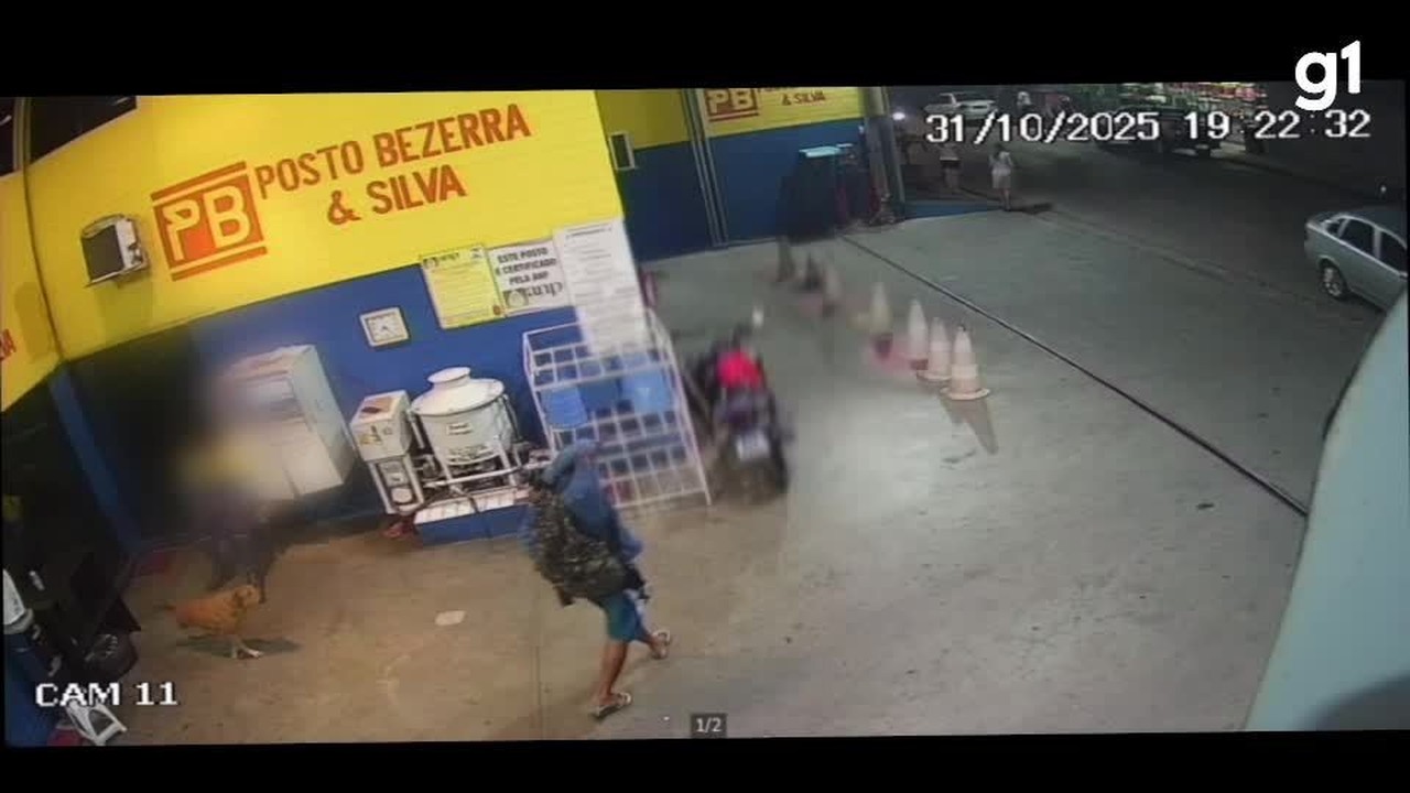Cachorra é morta a facadas por homem em posto de gasolina em Caruaru; VÍDEO