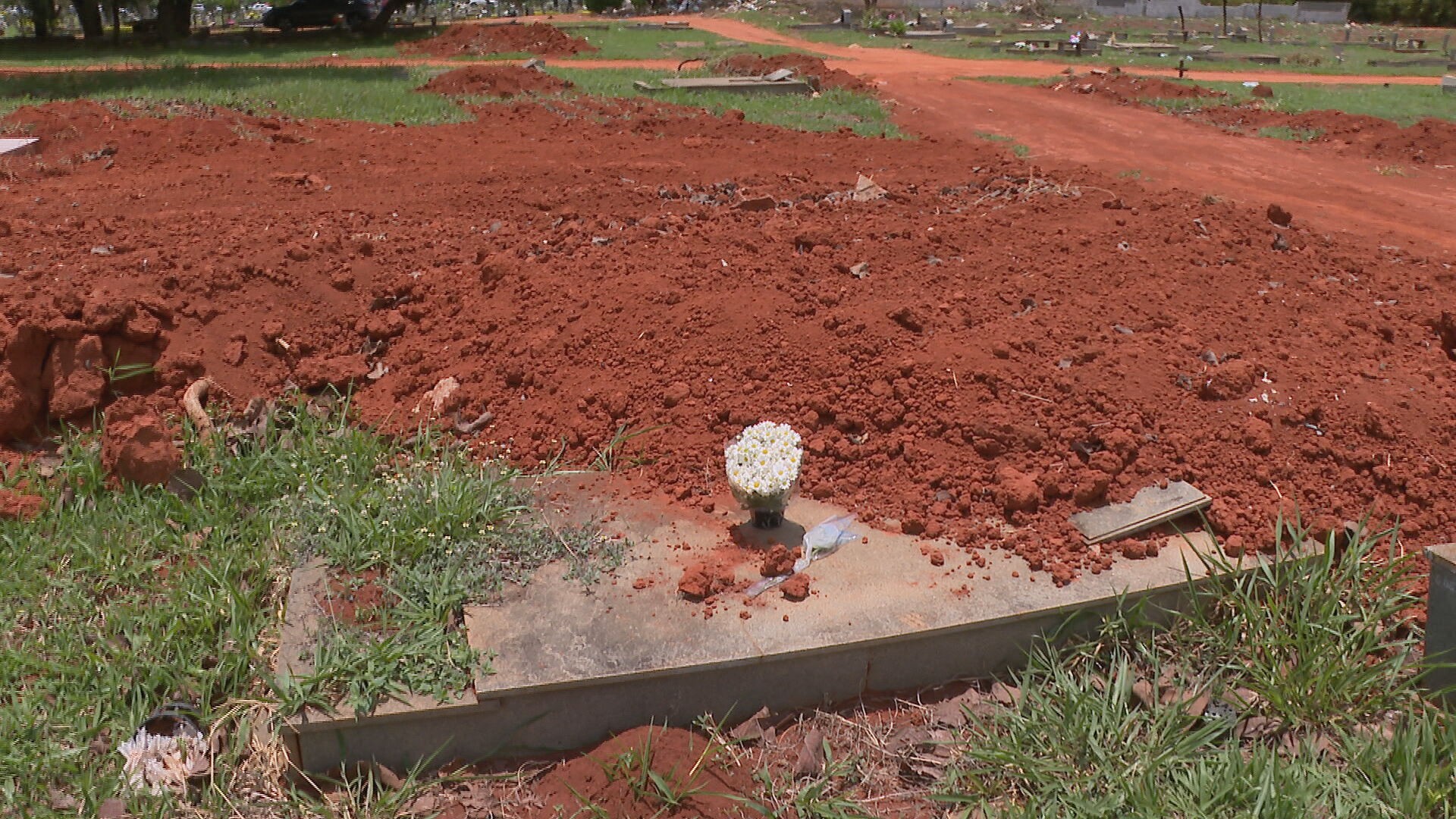 Famílias dizem que túmulos foram cobertos por terra na Asa Sul