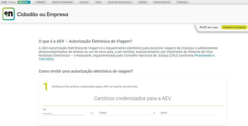 Autorização Eletrônica de Viagem (AEV) — Foto: Reprodução