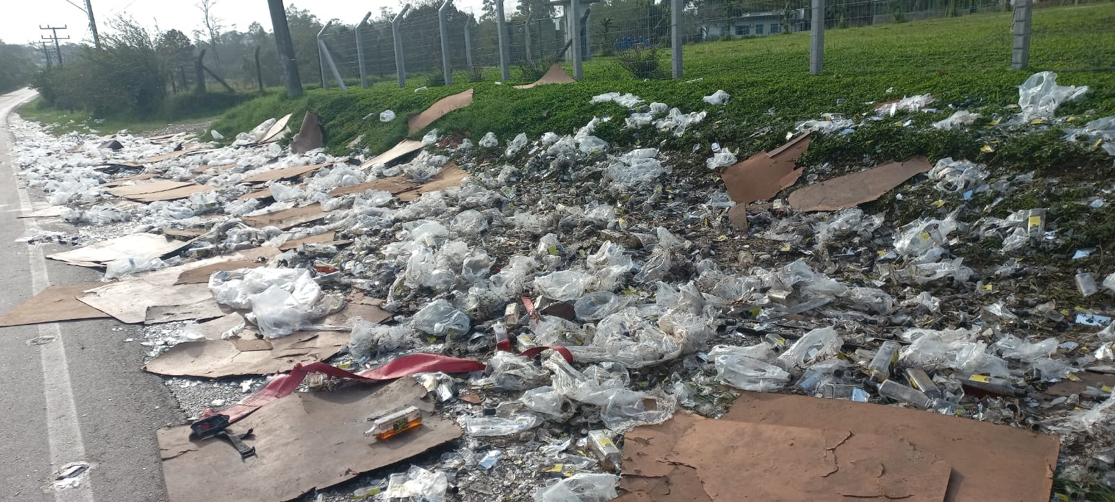 Carga de 1,8 mil garrafas de whisky  tomba e é saqueada em rodovia de SC; VÍDEO