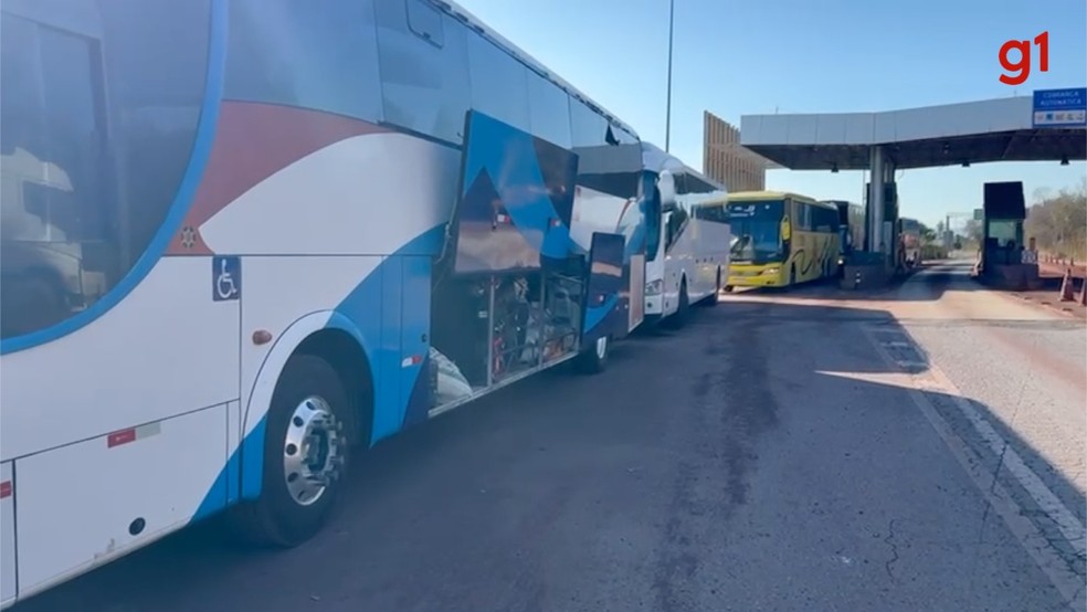 Mercadorias falsificadas foram encontradas em ônibus que trafegavam pela BR-262. — Foto: Divulgação/Receita Federal do Brasil