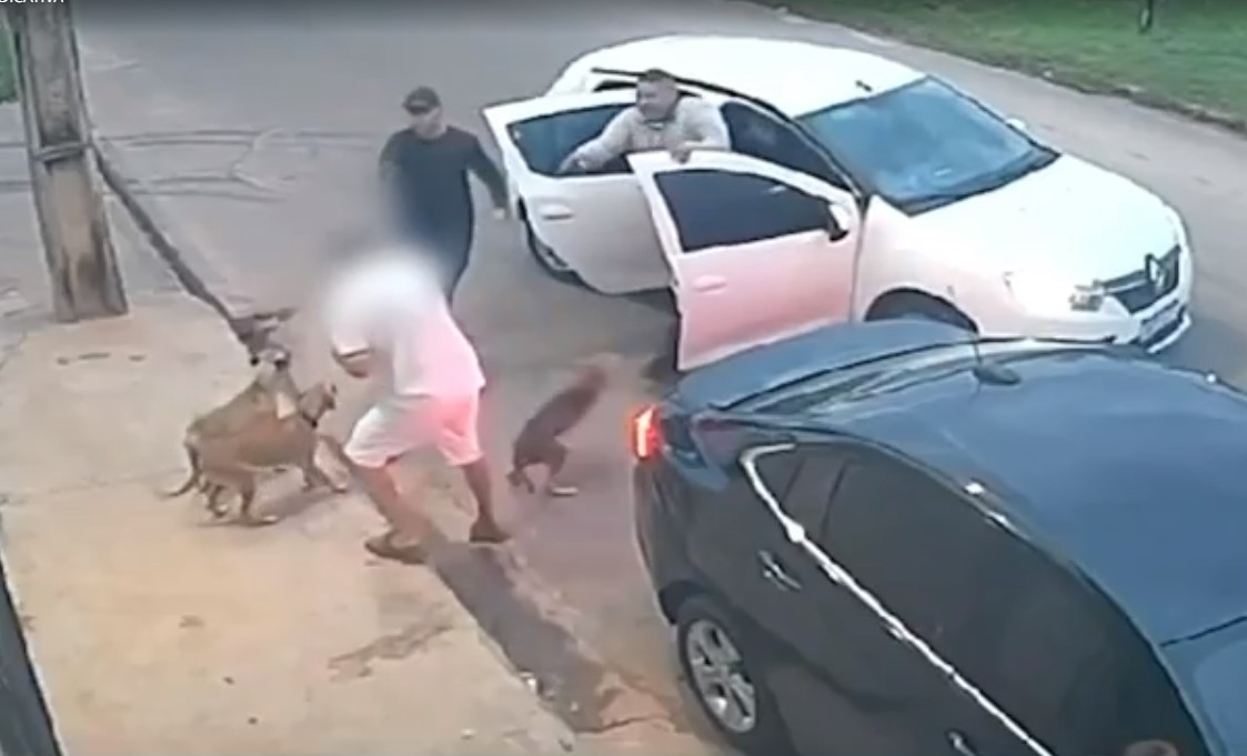 Vídeo: dono de padaria tem carro roubado enquanto fazia carinho em cachorros na porta do estabelecimento