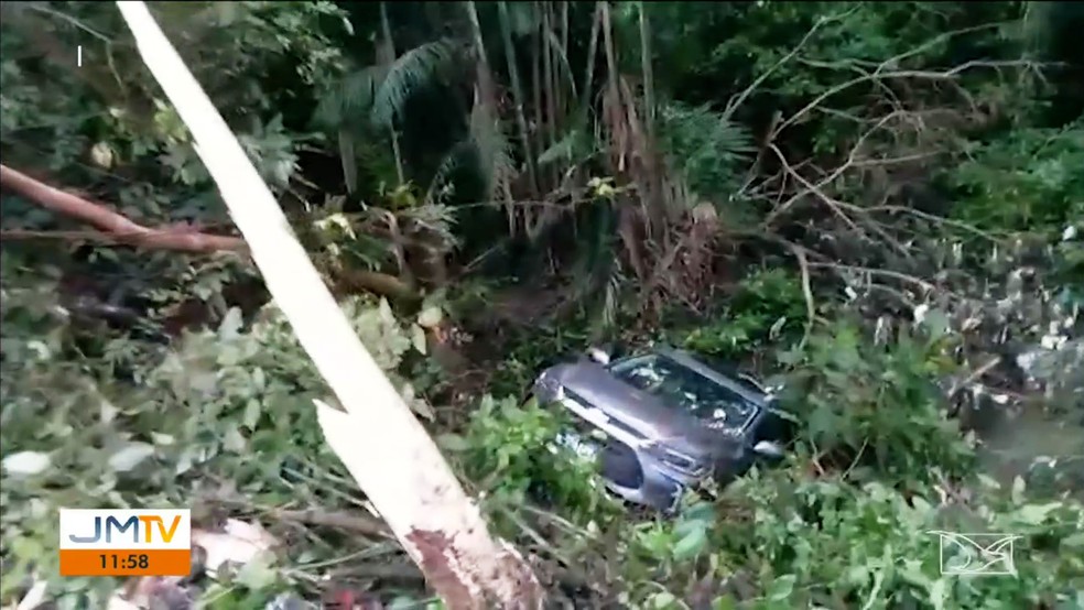 Carro caiu entre árvores na Avenida Jerônimo de Albuquerque, em São Luís — Foto: Reprodução/TV Mirante
