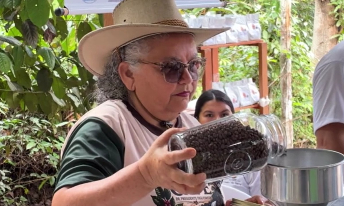 Café produzido em Presidente Figueiredo impulsiona renda de agricultores familiares no Amazonas