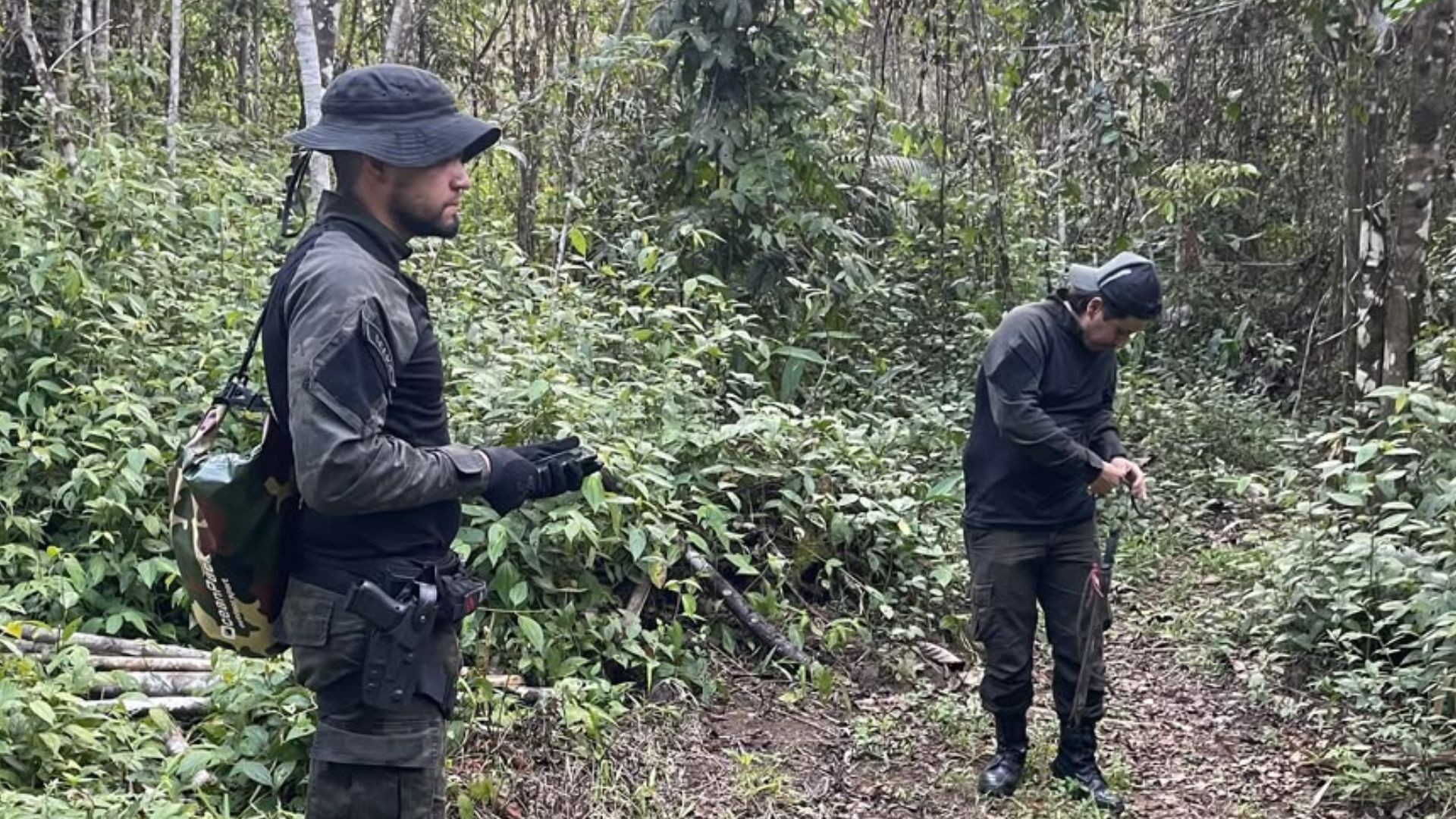 Combate ao desmatamento no AP resulta em prisões e apreensão de armas