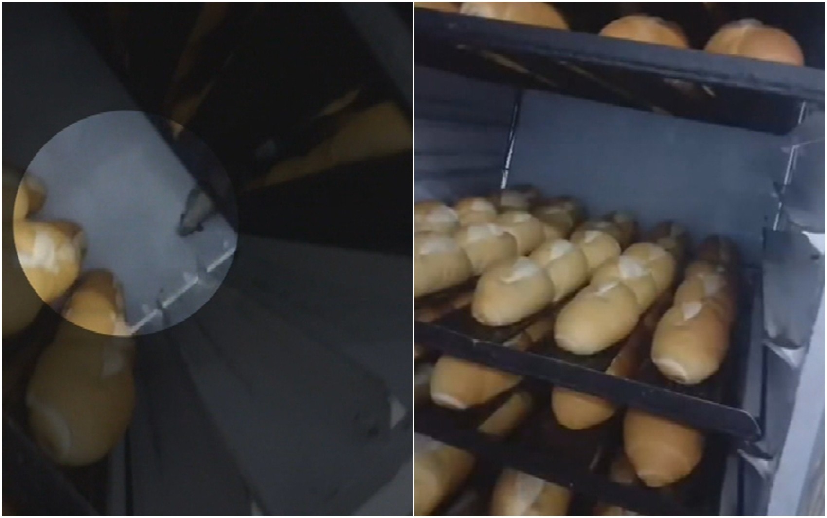 Empresário é preso após rato ser filmado andando sobre pães em supermercado, diz polícia