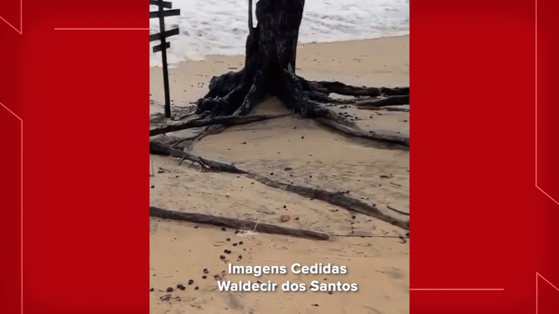 VÍDEO: Ressaca do mar avança e surpreende grupo na faixa de areia de praia em Ilhabela, SP