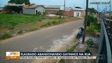 Polícia localiza homem suspeito de maus tratos em Paraíso do Tocantins