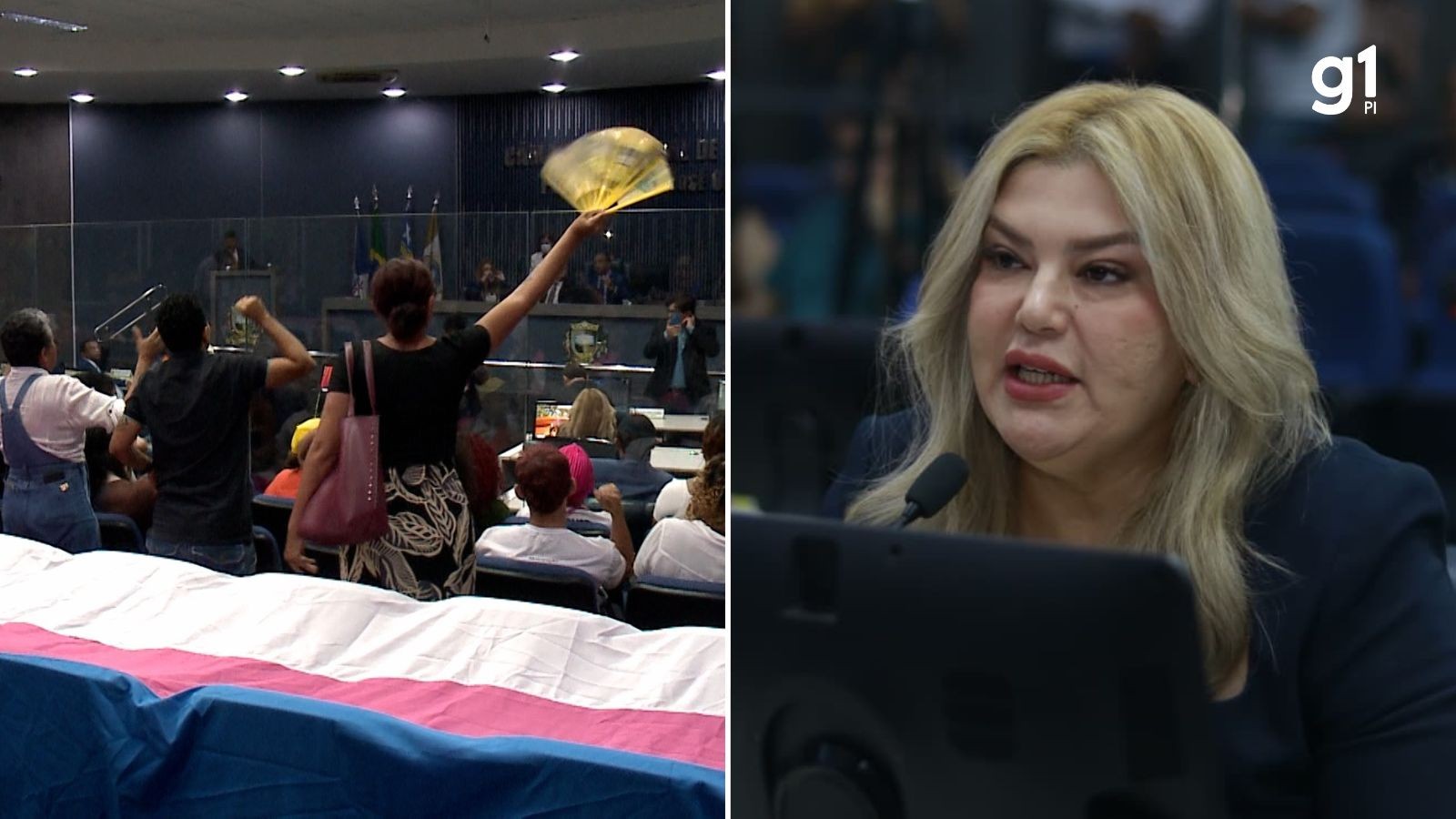 VÍDEO: vereadora chama manifestantes trans de 'cosplay de Erika Hilton' durante sessão em Teresina