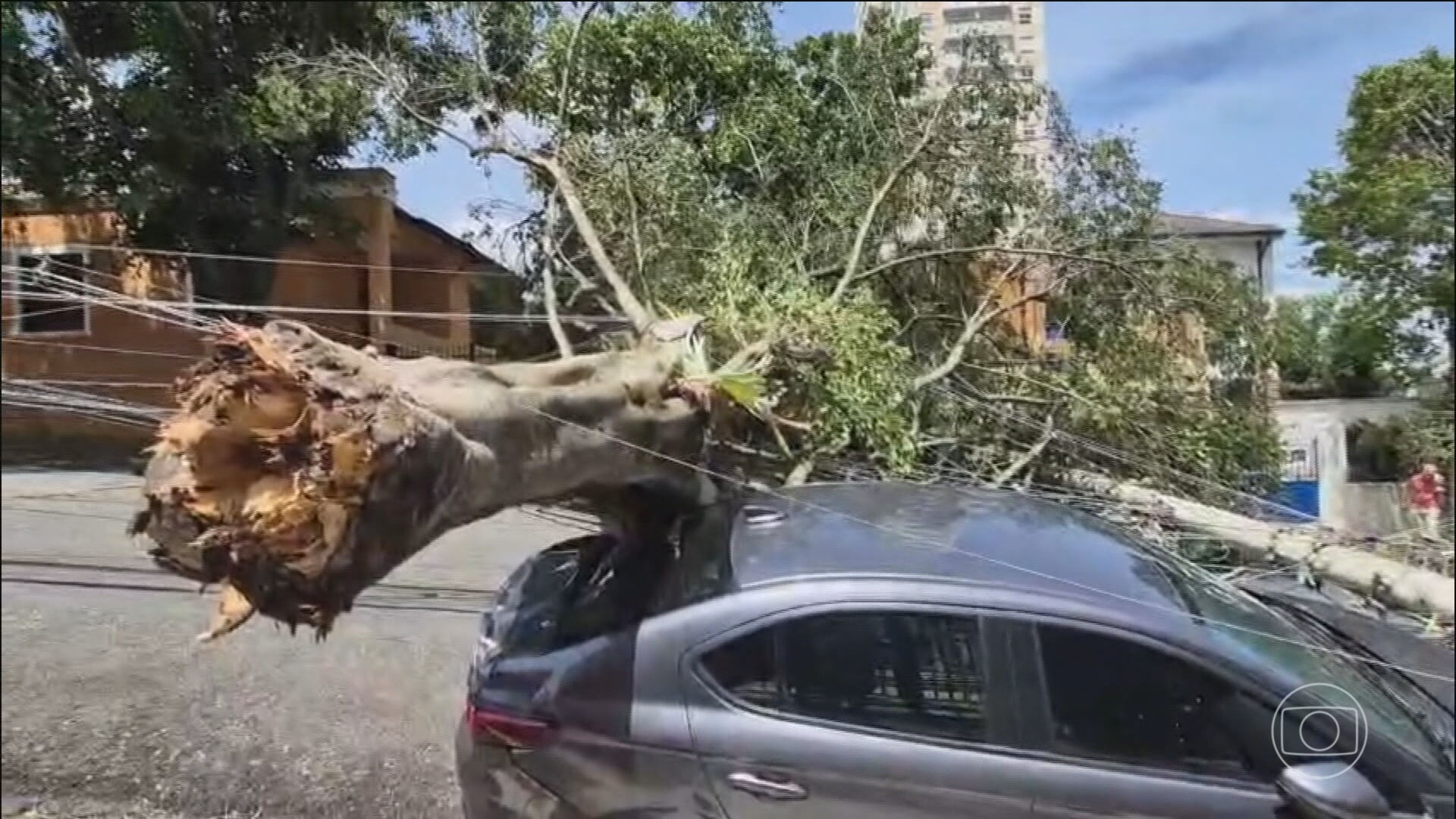Vendaval deixa mais de 2 milhões de imóveis sem luz em SP; funcionários de hospital atendem pacientes na calçada