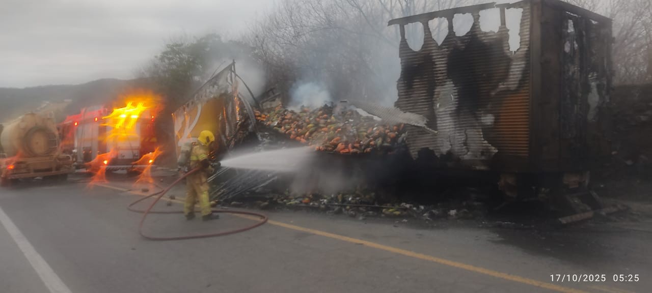 Superaquecimento dos freios pode ter causado incêndio em carreta na BR-251; veículo ficou destruído 