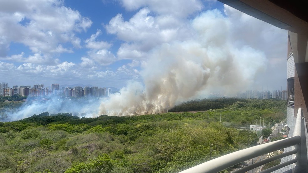 Incêndio atinge área de mata do Parque do Cocó, em Fortaleza — Foto: Arquivo pessoal
