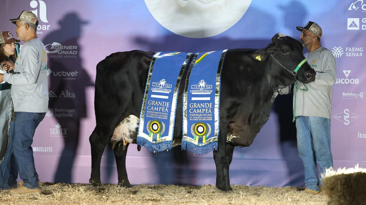 Menos vacas, mais leite: como genética e bem-estar mais que dobraram a produção em 24 anos