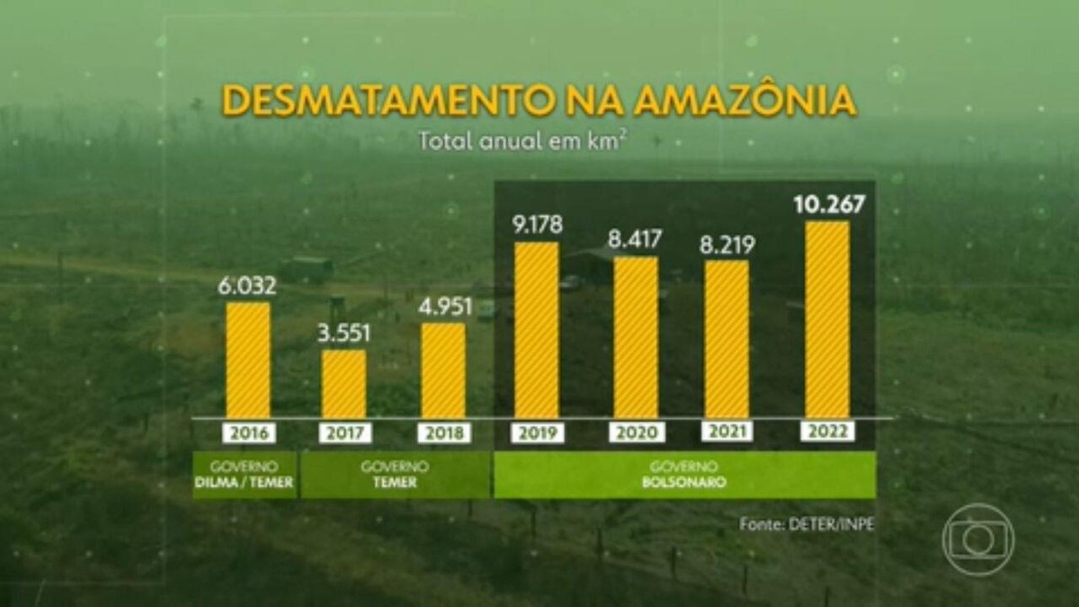 Amazônia: Desmatamento tem segunda maior cifra da série, diz Inpe