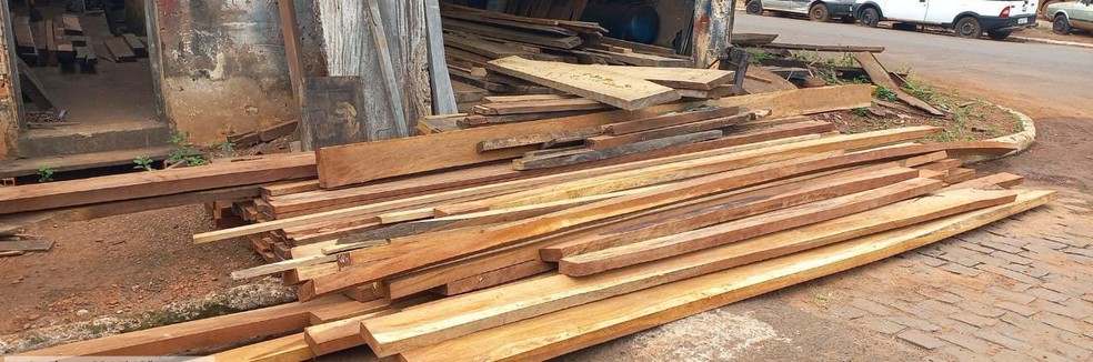 &Aacute;rea de desmatamento ilegal equivalente a quase 10 campos de futebol &eacute; fiscalizada em Ituiutaba &mdash; Foto: Pol&iacute;cia Militar de Meio Ambiente/Divulga&ccedil;&atilde;o