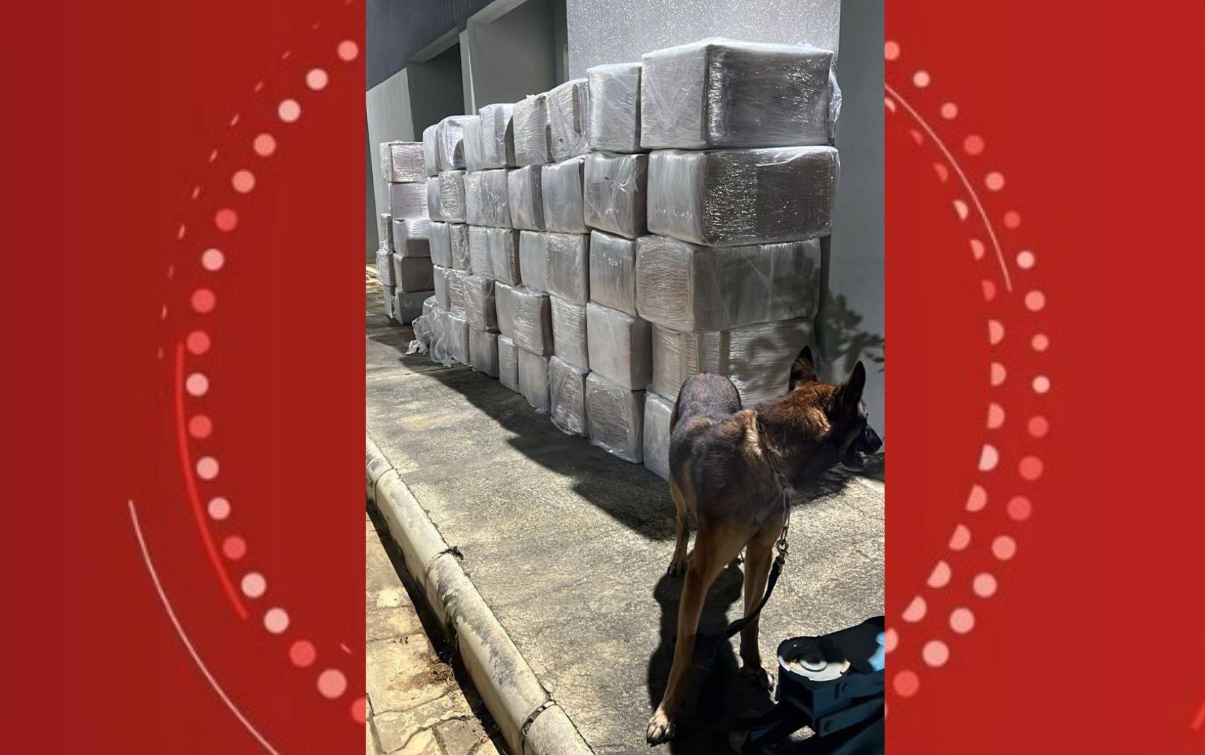 Homem é preso com quase três toneladas de maconha dentro de caminhão na Bahia